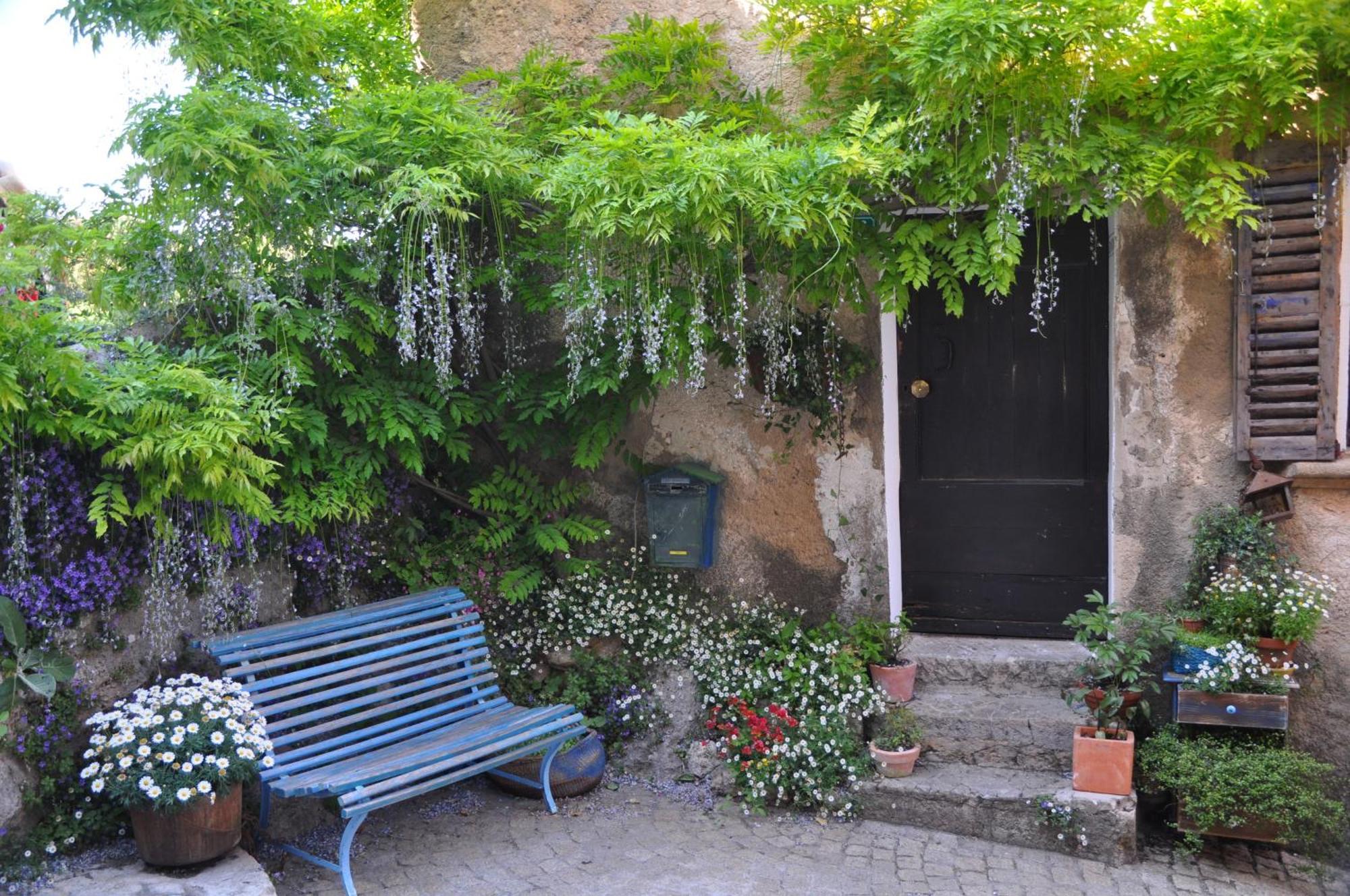 Le Clos Geraldy - Chambres D'Hotes De Charme, Piscine Et Spa Saint-Maximin-la-Sainte-Baume 외부 사진